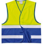 C484-Royal